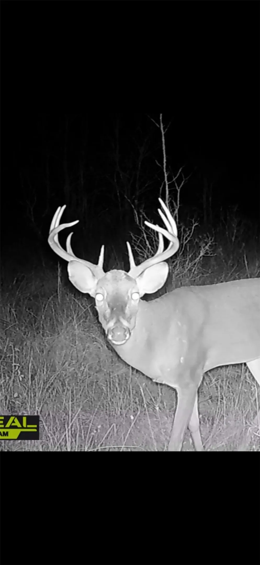 Dickey Loop Huntsville, TX 77831
