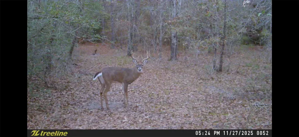 Dickey Loop Huntsville, TX 77831