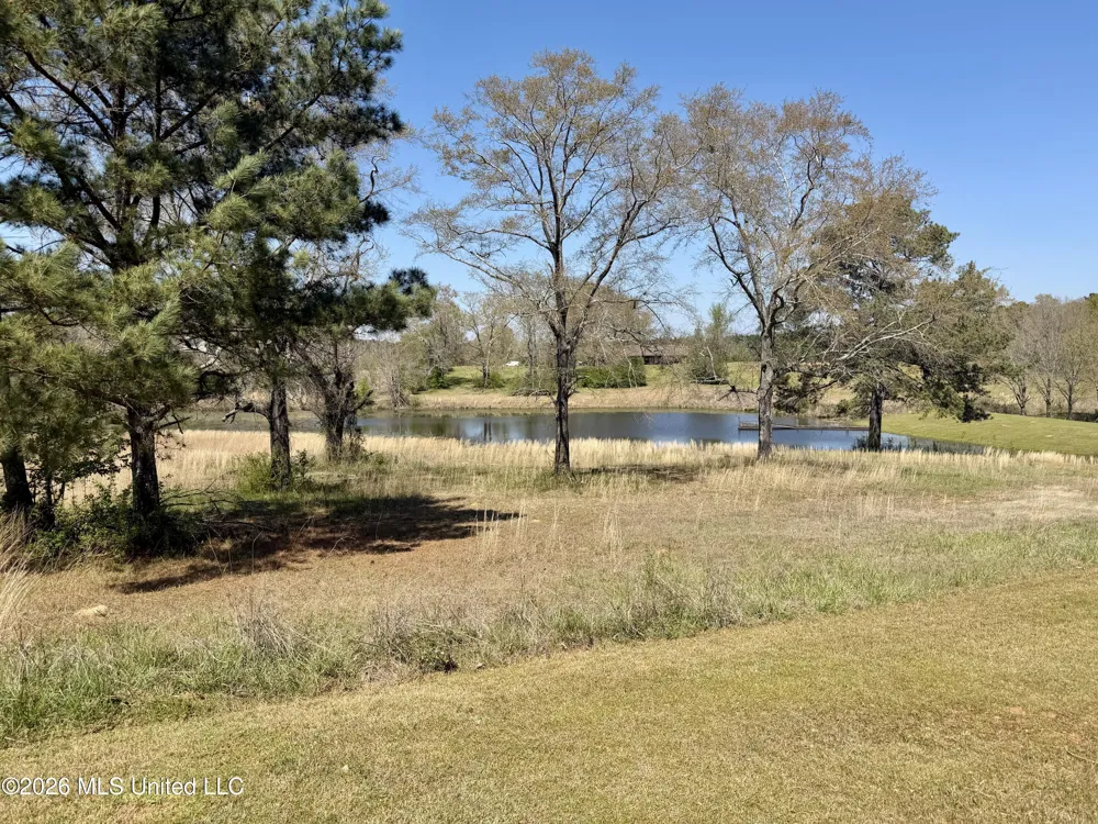 3253 Highway 488 Carthage, MS 39051