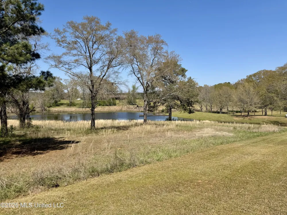 3253 Highway 488 Carthage, MS 39051