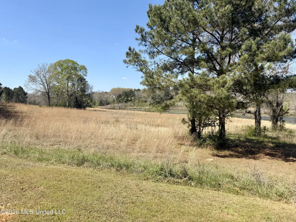 3253 Highway 488 Carthage, MS 39051