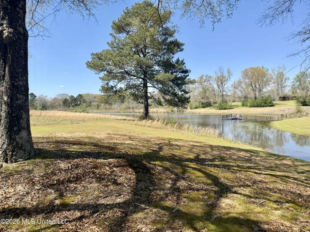 3253 Highway 488 Carthage, MS 39051