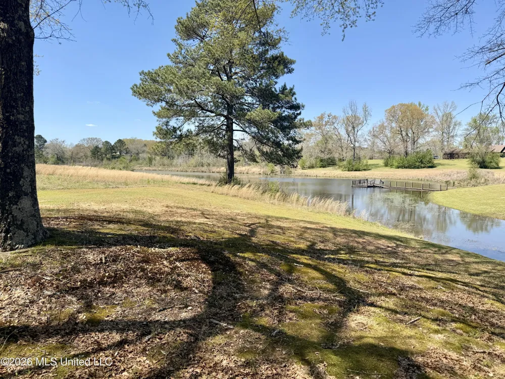 3253 Highway 488 Carthage, MS 39051