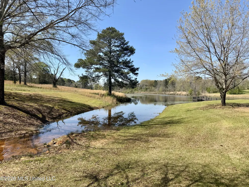 3253 Highway 488 Carthage, MS 39051