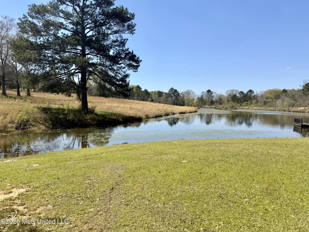 3253 Highway 488 Carthage, MS 39051