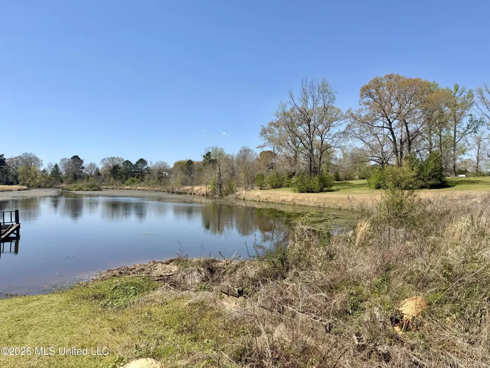 3253 Highway 488 Carthage, MS 39051