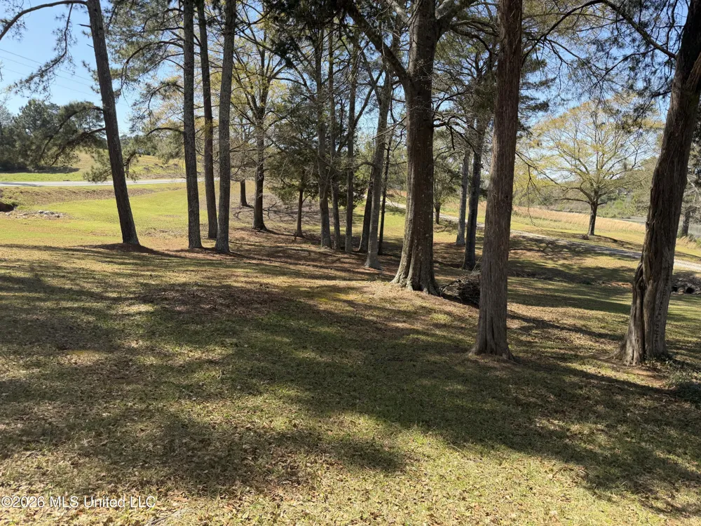 3253 Highway 488 Carthage, MS 39051