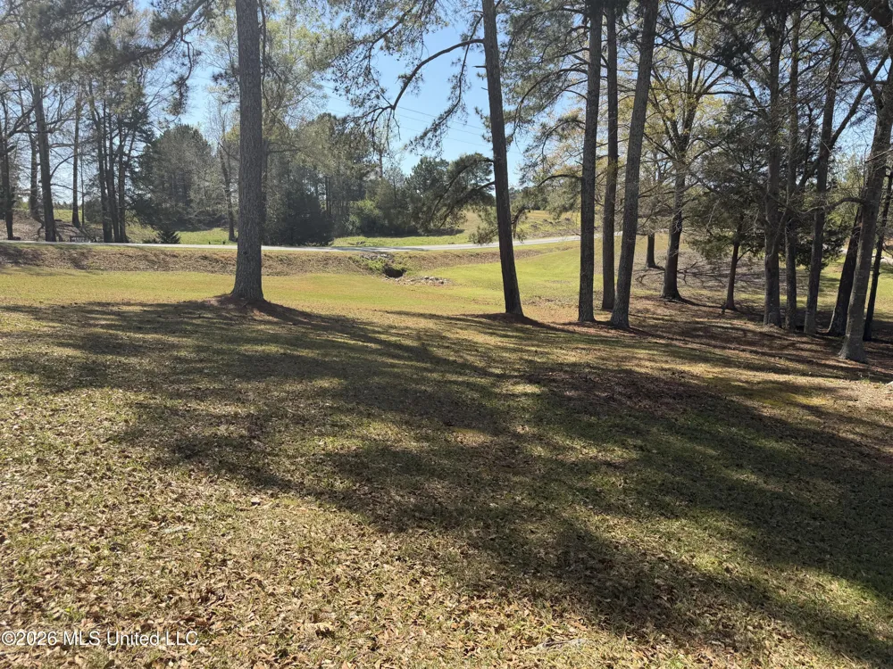 3253 Highway 488 Carthage, MS 39051