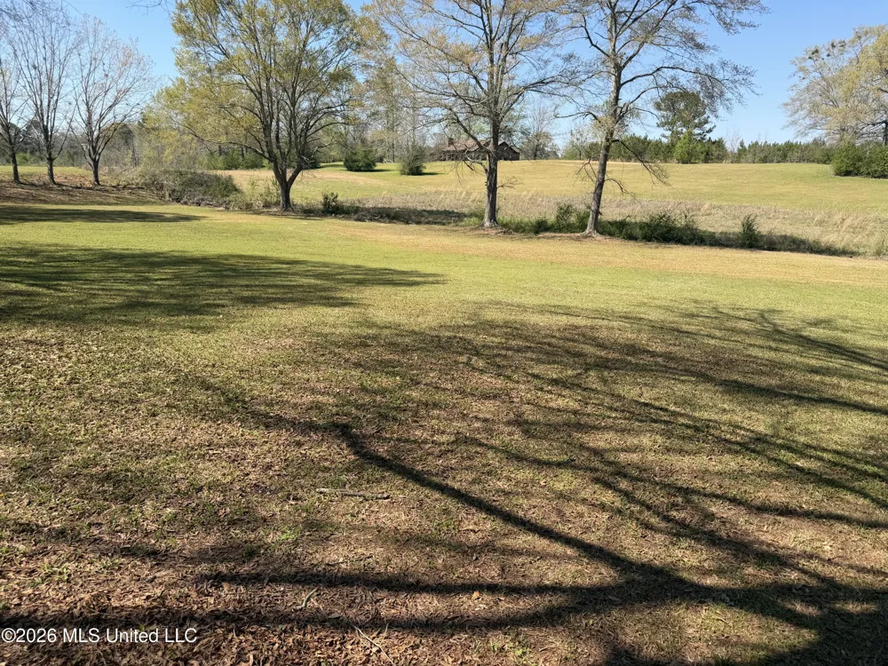 3253 Highway 488 Carthage, MS 39051