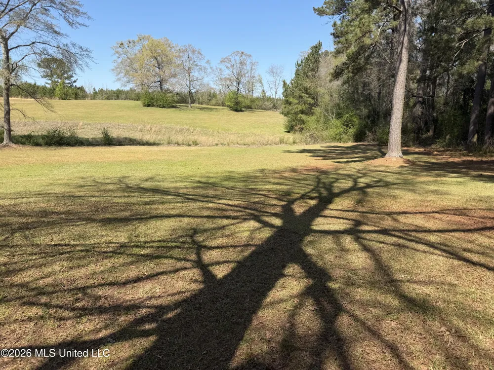 3253 Highway 488 Carthage, MS 39051