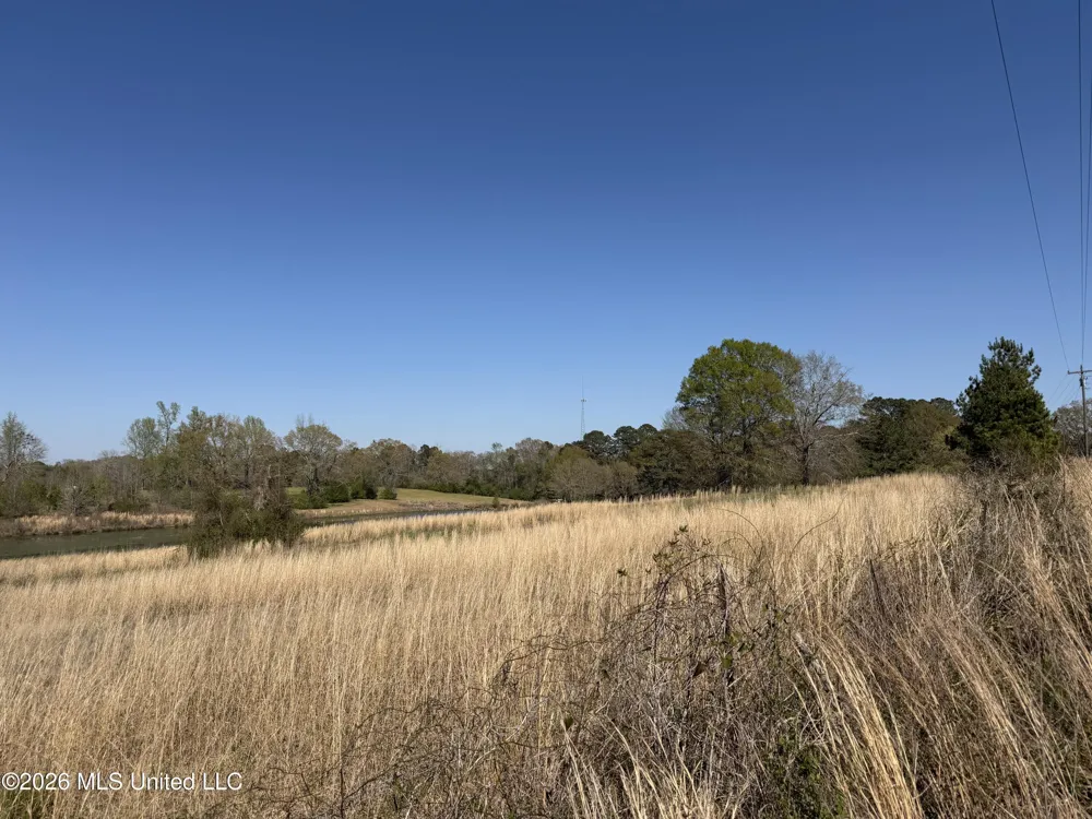 3253 Highway 488 Carthage, MS 39051