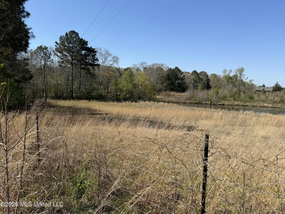 3253 Highway 488 Carthage, MS 39051