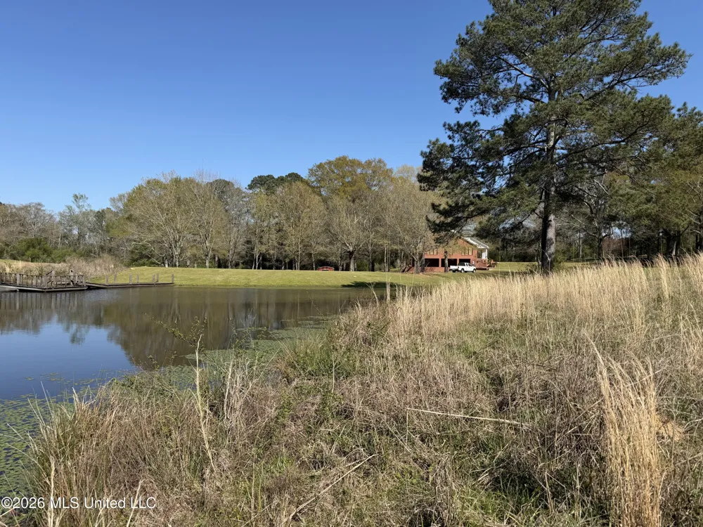 3253 Highway 488 Carthage, MS 39051