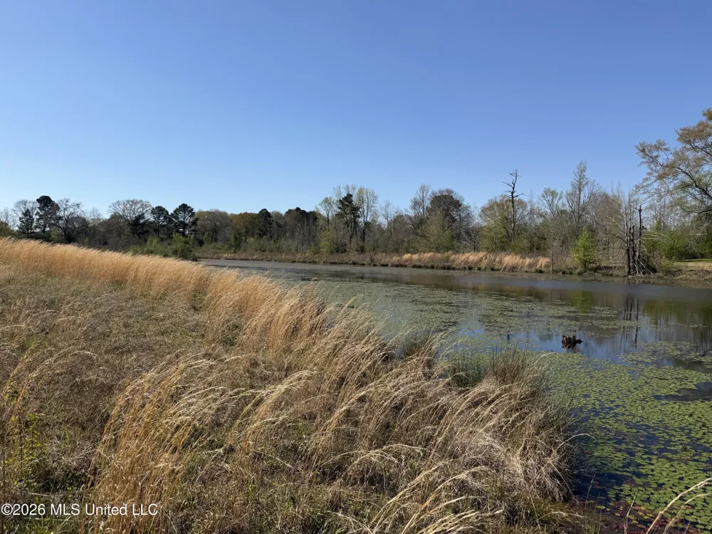 3253 Highway 488 Carthage, MS 39051