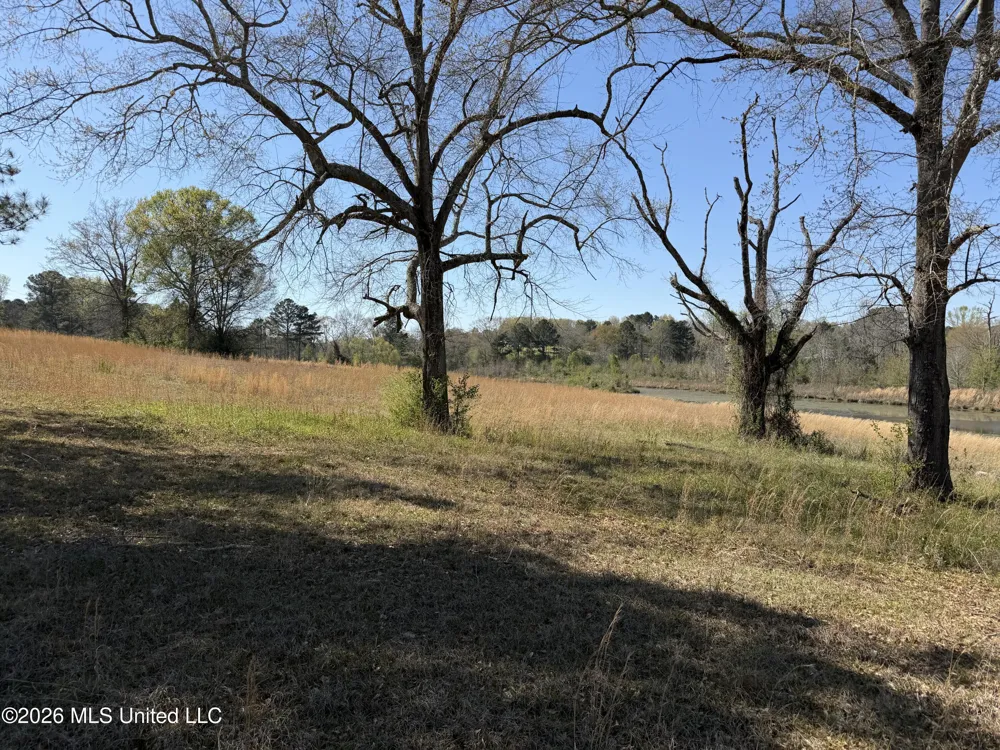 3253 Highway 488 Carthage, MS 39051