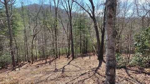 Lot 24 Pine Log Circle