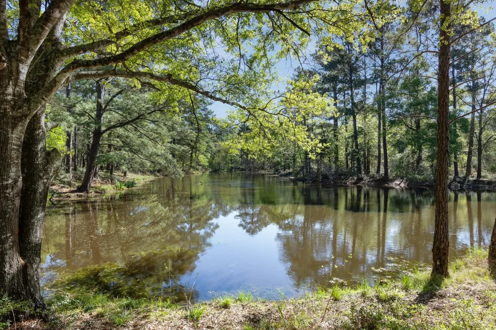 3702 County Rd 151 Bedias, TX 77831