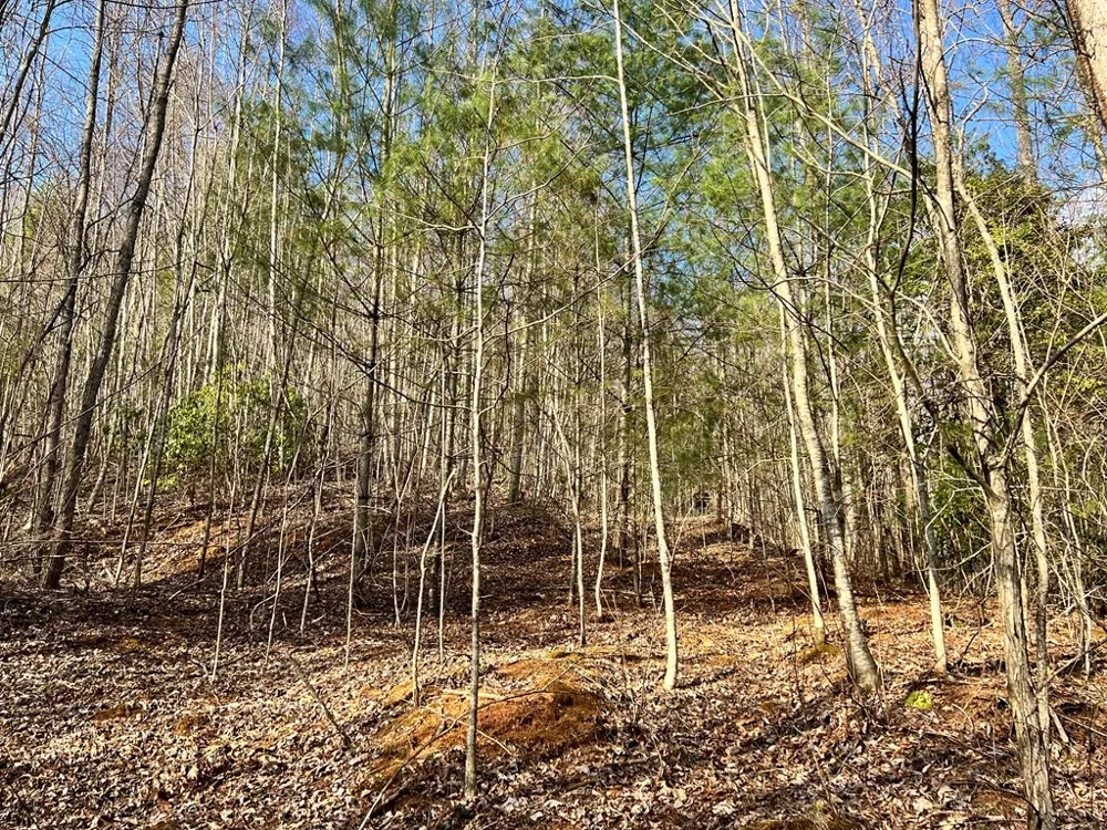 Garnet Road Sylva, NC 28779