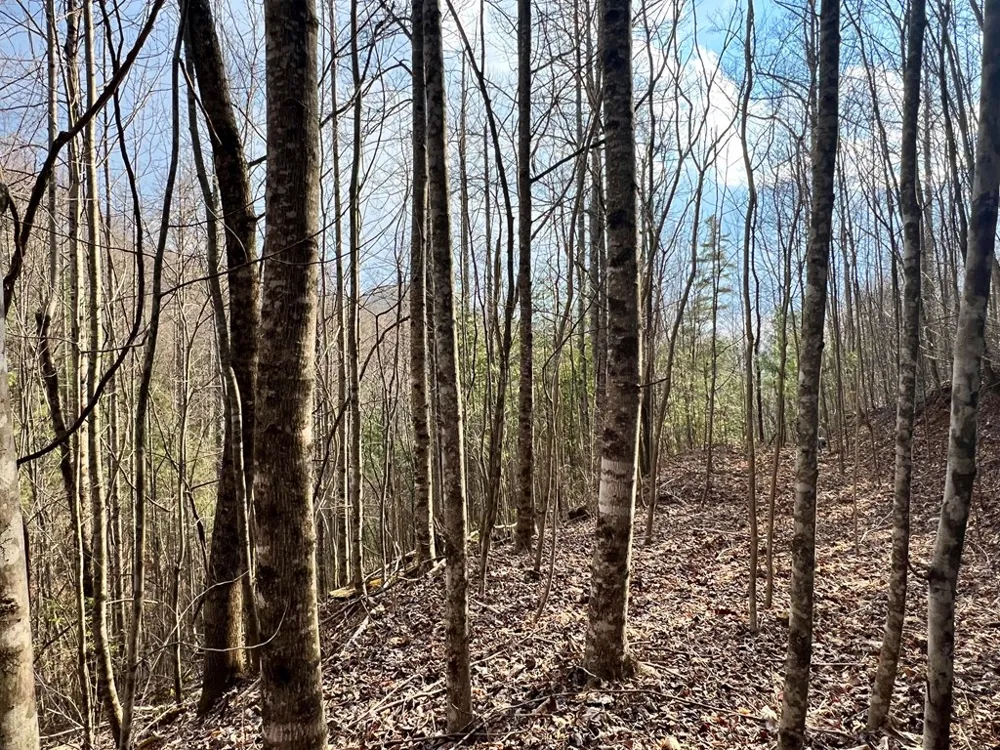 Garnet Road Sylva, NC 28779