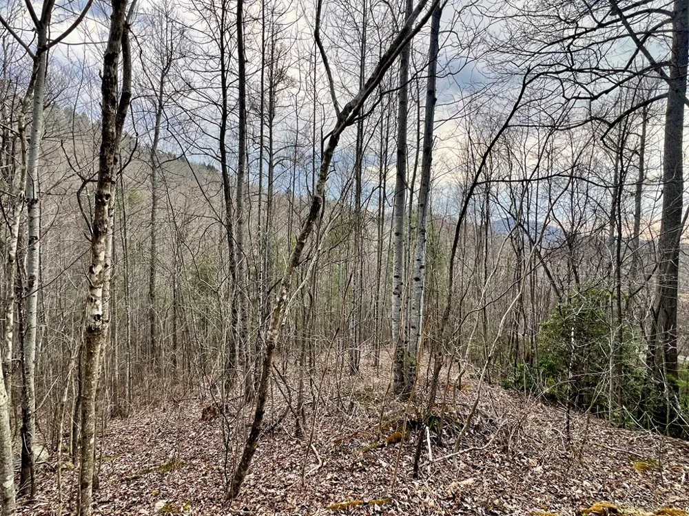 Garnet Road Sylva, NC 28779