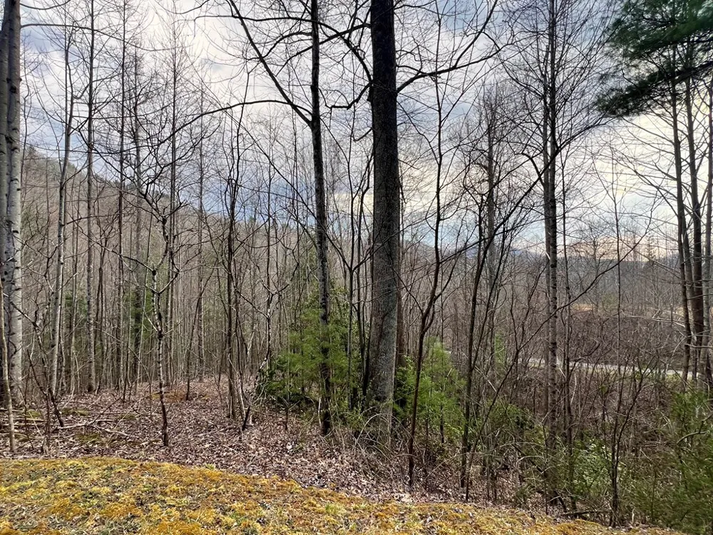 Garnet Road Sylva, NC 28779