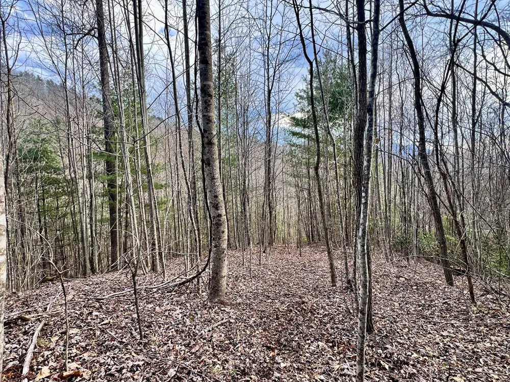 Garnet Road Sylva, NC 28779