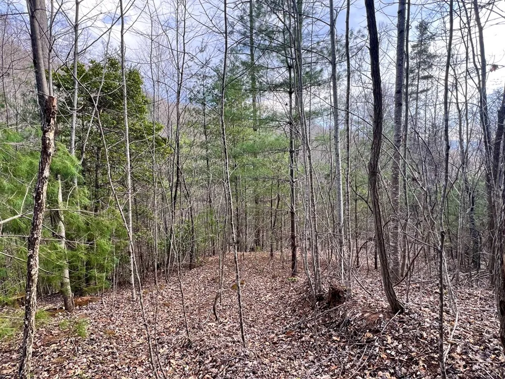 Garnet Road Sylva, NC 28779