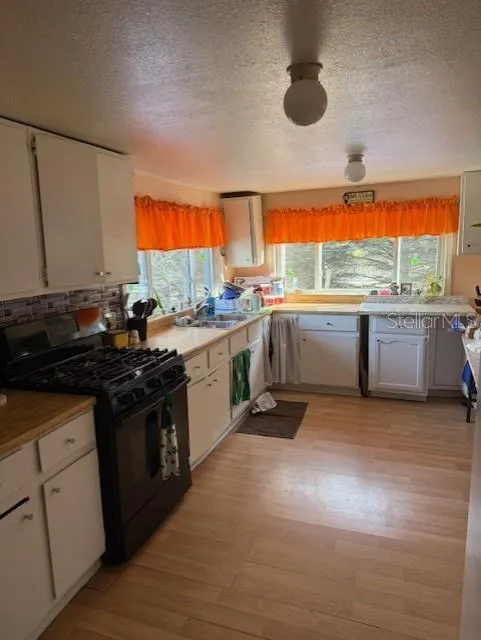 5297 HUGHES AVENUE Fountain, MI 49410