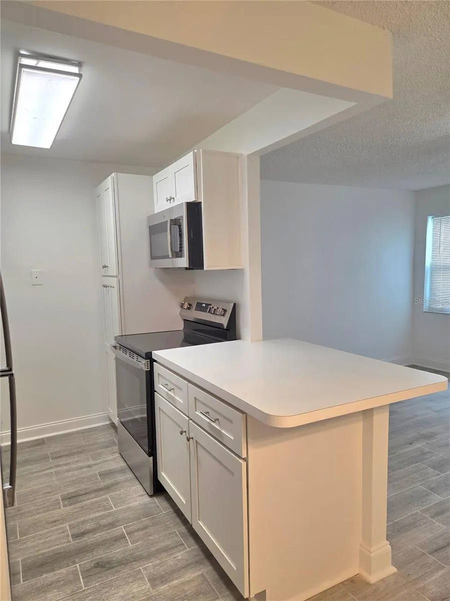 353 S MCMULLEN BOOTH ROAD #133 Clearwater, FL 33759