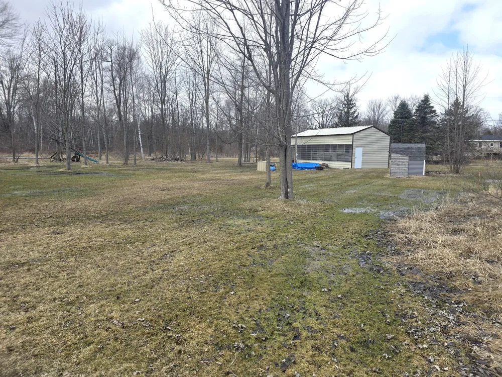 10631 Maple Drive Riverdale, MI 48877