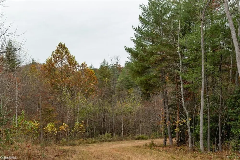 0 TBD US Highway 421 Ferguson, NC 28624