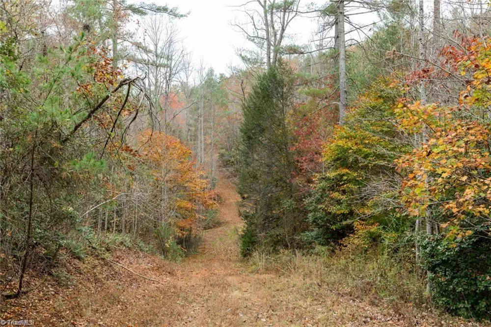 0 TBD US Highway 421 Ferguson, NC 28624