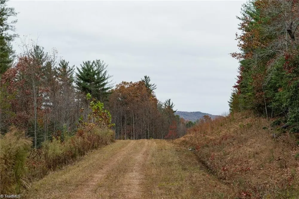 0 TBD US Highway 421 Ferguson, NC 28624