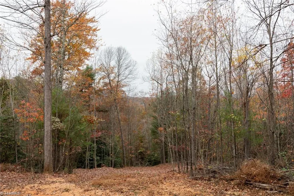 0 TBD US Highway 421 Ferguson, NC 28624