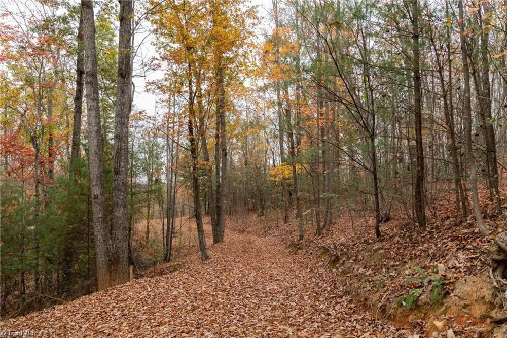 0 TBD US Highway 421 Ferguson, NC 28624