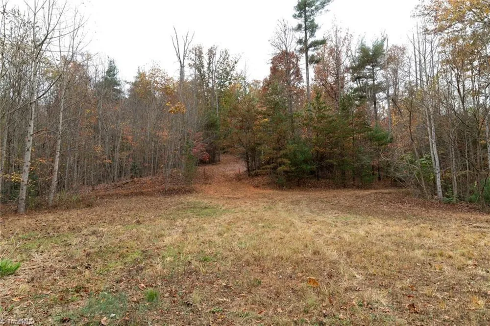 0 TBD US Highway 421 Ferguson, NC 28624