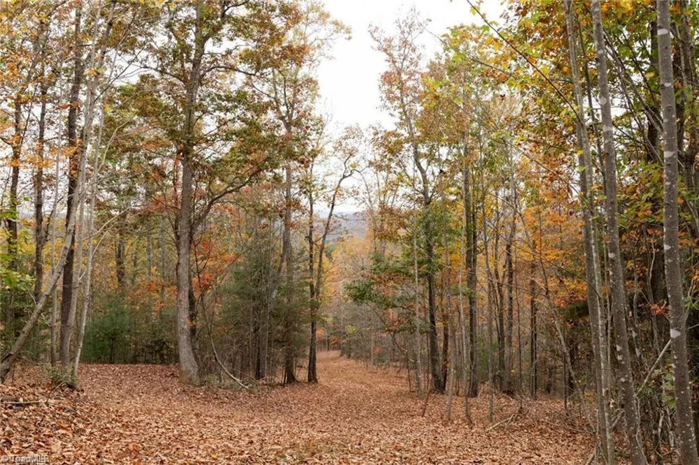 0 TBD US Highway 421 Ferguson, NC 28624