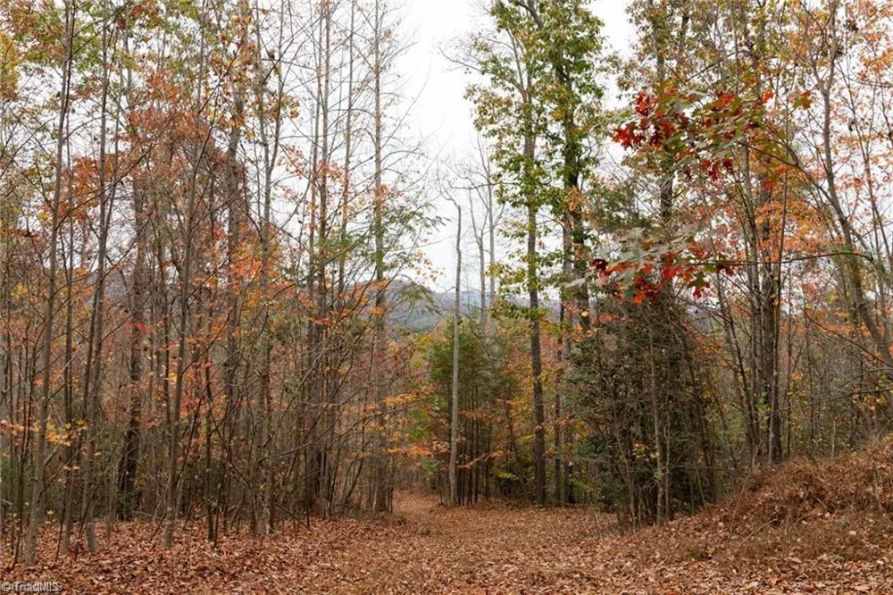 0 TBD US Highway 421 Ferguson, NC 28624