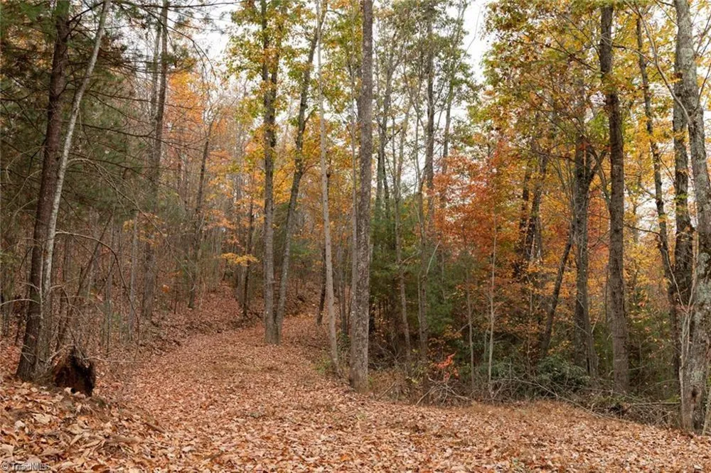 0 TBD US Highway 421 Ferguson, NC 28624