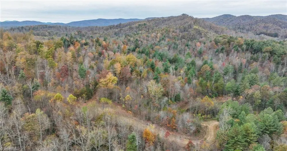 0 TBD US Highway 421 Ferguson, NC 28624