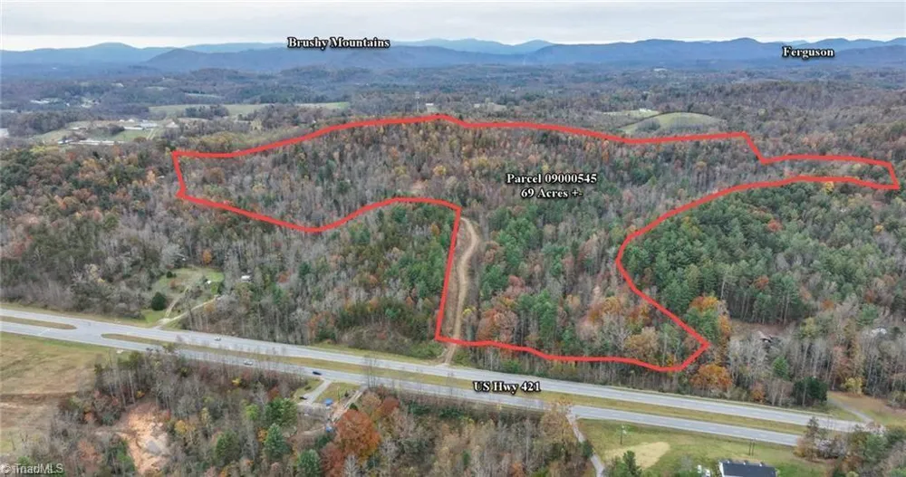 0 TBD US Highway 421 Ferguson, NC 28624