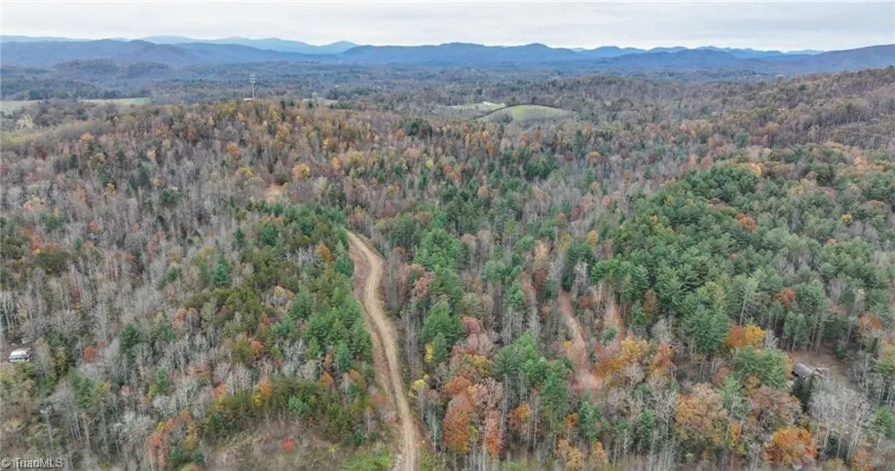 0 TBD US Highway 421 Ferguson, NC 28624