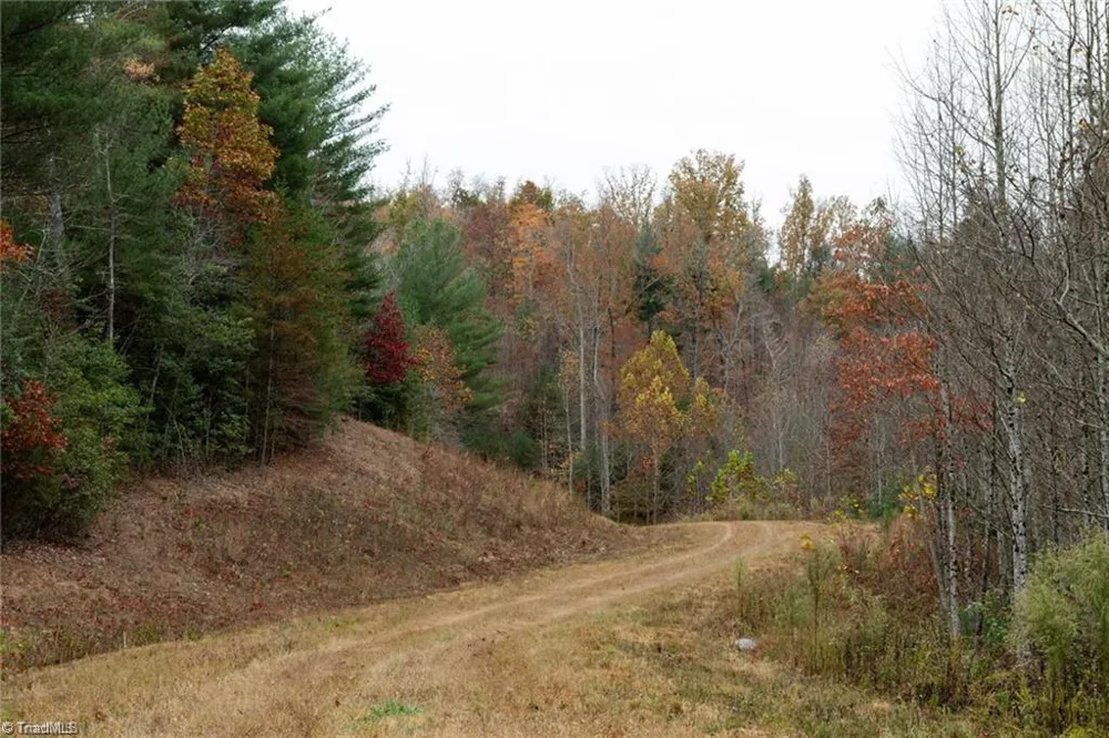 0 TBD US Highway 421 Ferguson, NC 28624