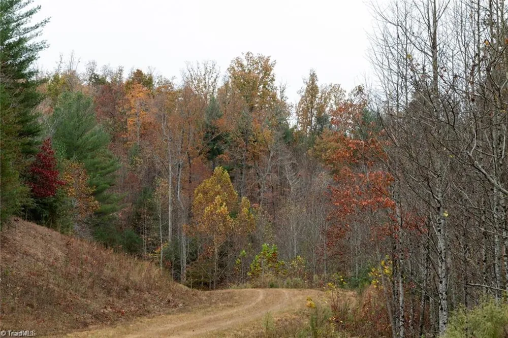 0 TBD US Highway 421 Ferguson, NC 28624
