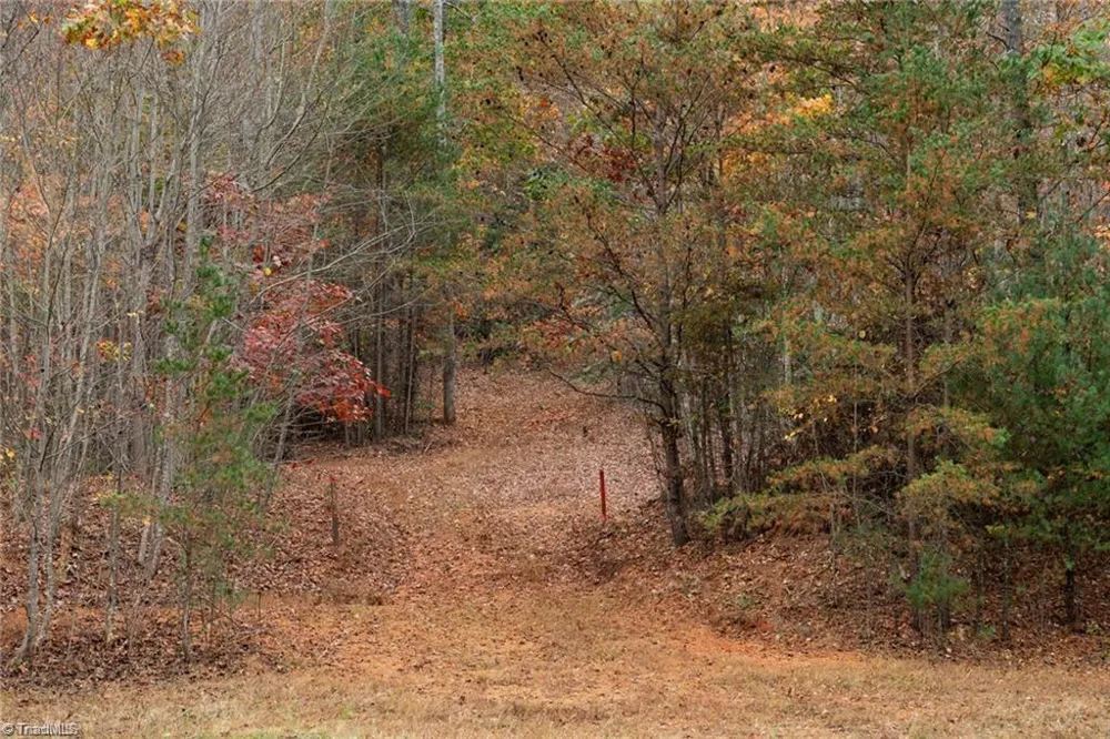0 TBD US Highway 421 Ferguson, NC 28624