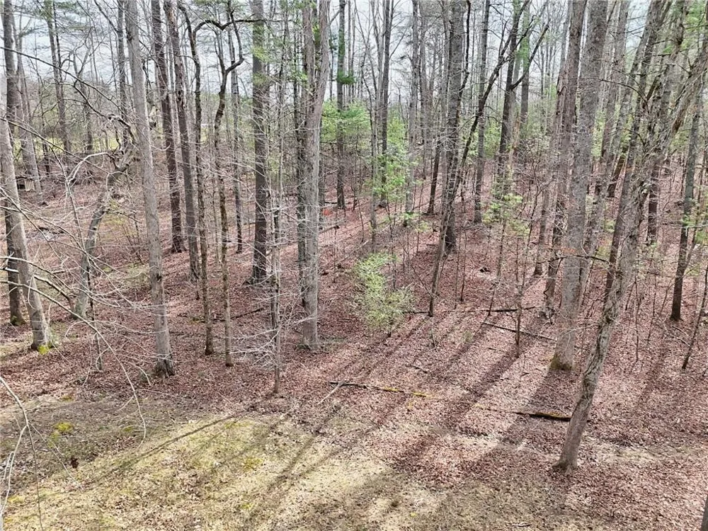 91 Margie Lane Blairsville, GA 30512