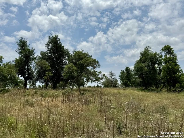 LOT 25 Ridgeline Rd Fredericksburg, TX 78624