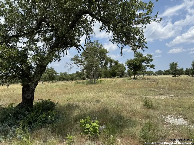 LOT 25 Ridgeline Rd Fredericksburg, TX 78624