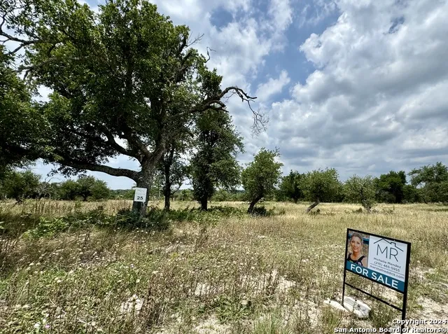LOT 25 Ridgeline Rd Fredericksburg, TX 78624