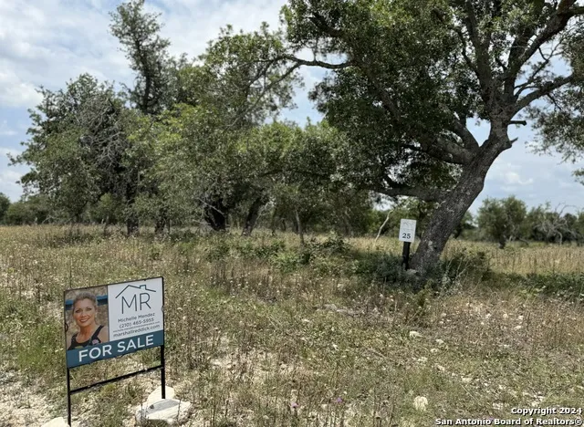 LOT 25 Ridgeline Rd Fredericksburg, TX 78624